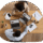 demo-attachment-2033-op_room-i-235